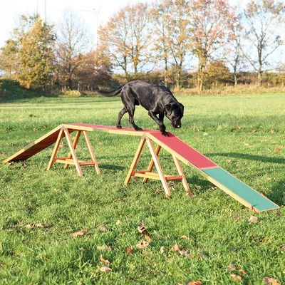 Trixie Dog Agility Bridge 1 Trixie Dog Agility Bridge