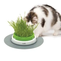 Catit Senses 2.0 Grass Planter -Perfect Care Shop 73855 hagen catitsenses2 0 grastopf hs 07 5
