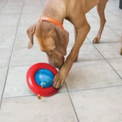 KONG Gyro -Perfect Care Shop 74248 kong gyro 1