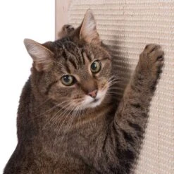 Natural Paradise Scratching Barrel - Daisy -Perfect Care Shop 75376 kratztonne np kahone fg 5701 2