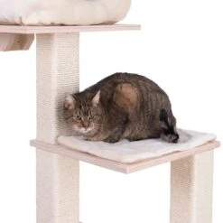 Natural Paradise Scratching Tree - Orchid Vanda L -Perfect Care Shop 75552 kratzbaum np quadra fg 6204 8