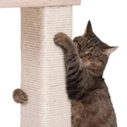 Natural Paradise Scratching Tree - Orchid Vanda L -Perfect Care Shop 75552 kratzbaum np quadra fg 6205 0