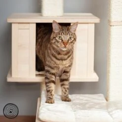 Natural Paradise Scratching Tree - Orchid Vanda L -Perfect Care Shop 75552 np kb qiii 1000x1000 logo la mg 5796 4