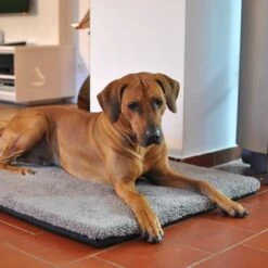 Pawz & Pepper Aurora Ortho Dog Mattress 15 Pawz & Pepper Aurora Ortho Dog Mattress -Perfect Care Shop 78424 petlando pawzpepper hundekissen denver hs 07 9