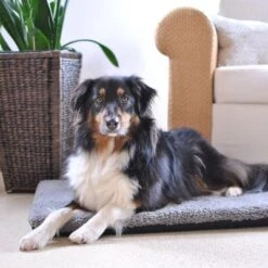 Pawz & Pepper Aurora Ortho Dog Mattress 10 Pawz & Pepper Aurora Ortho Dog Mattress -Perfect Care Shop 78424 petlando pawzpepper hundekissen denver hs 08 6