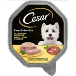 Cesar Classic Trays -Perfect Care Shop 78459 pla mars cesar klassiker huhn truthahn hs 01 5