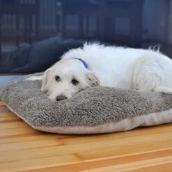 Pawz & Pepper Denver Ortho Dog Cushion 11 Pawz & Pepper Denver Ortho Dog Cushion -Perfect Care Shop 78610 petlando pawzpepper hundekissen auroraortho hs 09 5