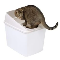 Big Box Cat Litter Tray 11 Big Box Cat Litter Tray -Perfect Care Shop 78725 top entry katzentoilette fg 7268 1