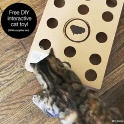 Modkat Cat Litter Tray 15 Modkat Cat Litter Tray -Perfect Care Shop 79339 modkat tray katzentoilette hs05 5