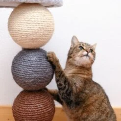 Planet Scratch Post -Perfect Care Shop 80399 kratzbaum und katze fg 1295 4