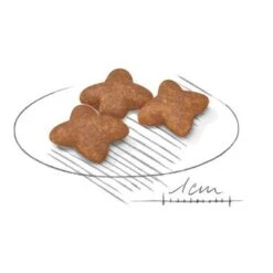 Royal Canin Mini Adult -Perfect Care Shop 80735 royalcanin miniadult 8kg croc hs 02 9