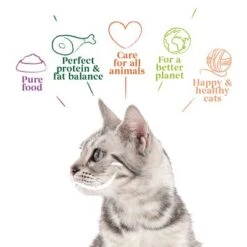 Yarrah Organic Fillets In Sauce 14 X 85g 10 Yarrah Organic Fillets In Sauce 14 X 85g -Perfect Care Shop 8122 cat pouch beef 85g 8714265000843 2 9