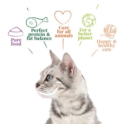 Yarrah Organic Fillets In Sauce 14 X 85g 3 Yarrah Organic Fillets In Sauce 14 X 85g - Image 3