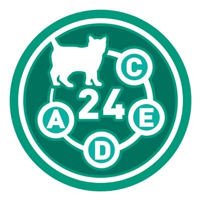 Purina ONE Senior +11 Chicken 6 Purina ONE Senior +11 Chicken - Image 6