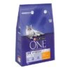 Purina ONE Adult Chicken Dry Cat Food