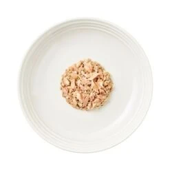 Encore Cat Tin 16 X 70g -Perfect Care Shop 82373 encore cattin oceanfish hs 03 8