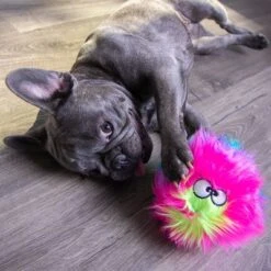 GoDog® Rainbow Furballz -Perfect Care Shop 84956 godog furballzregenbogen hs 06 0