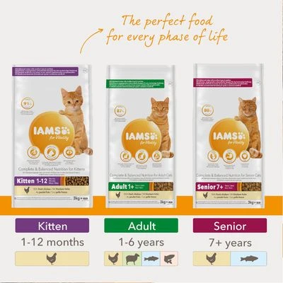 IAMS For Vitality Adult Ocean Fish Dry Cat Food 5 IAMS For Vitality Adult Ocean Fish Dry Cat Food - Image 5