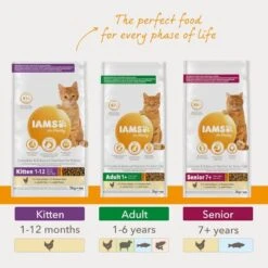 IAMS For Vitality Adult Lamb Dry Cat Food 10 IAMS For Vitality Adult Lamb Dry Cat Food -Perfect Care Shop 8710255127200 3 3