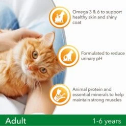 IAMS For Vitality Adult Lamb Dry Cat Food 11 IAMS For Vitality Adult Lamb Dry Cat Food -Perfect Care Shop 8710255127200 4