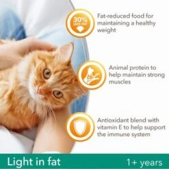IAMS For Vitality Light In Fat Adult Fresh Chicken Dry Cat Food 7 IAMS For Vitality Light In Fat Adult Fresh Chicken Dry Cat Food -Perfect Care Shop 8710255127637 3 9