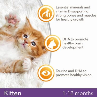 IAMS For Vitality Kitten Fresh Chicken Dry Cat Food 6 IAMS For Vitality Kitten Fresh Chicken Dry Cat Food - Image 6