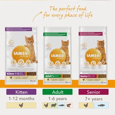 IAMS For Vitality Kitten Fresh Chicken Dry Cat Food 5 IAMS For Vitality Kitten Fresh Chicken Dry Cat Food - Image 5