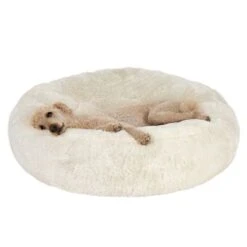 Fluffy Dog Bed 11 Fluffy Dog Bed -Perfect Care Shop 97651 koenigspudel fg 4695 7