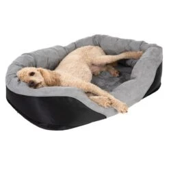 Lazy Dog Bed -Perfect Care Shop 98297 koenigspudel fg 4710 2