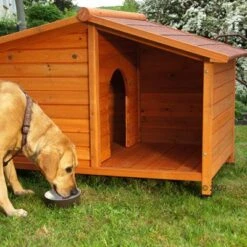 Dog Kennel Spike Special -Perfect Care Shop 98853 2 detail 1