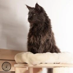 Natural Paradise Wall Scratching Board - Dahlia -Perfect Care Shop 99396 np wkb krea 1000x1000 logo la mg 6053 7