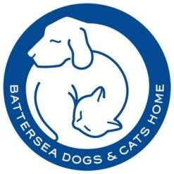 Pet Teezer De-shedding Brush Small -Perfect Care Shop 99699 newflag petteezer desheddingbrush purple hs 06 4