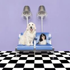 Pet Teezer De-shedding Brush -Perfect Care Shop 99699 newflag petteezer desheddingbrush purple hs 09 3