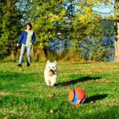 Chuckit! Kick Fetch -Perfect Care Shop 99703 petmate chuckit kick fetch large hs 04 9