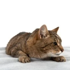 Heim Hygienic Blanket - Grey -Perfect Care Shop 99720 kochfeste decke fg 4330 8 1