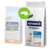 Advance Maxi Adult