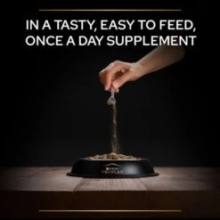 Pro Plan Mobility Dog Supplement Powder -Perfect Care Shop benefit 3