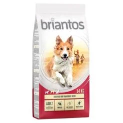 14kg Briantos Dry Dog Food - 13kg + 1kg Free!* -Perfect Care Shop briantos adult chickenrice 14kg 1000x1000 9