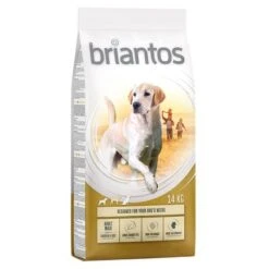 14kg Briantos Dry Dog Food - 13kg + 1kg Free!* -Perfect Care Shop briantos adult maxi chickenrice 14kg 1000x1000 2