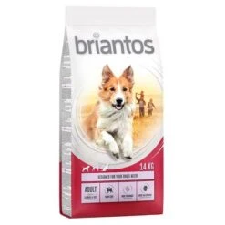 14kg Briantos Dry Dog Food - 13kg + 1kg Free!* -Perfect Care Shop briantos adult salmonrice 14kg 1000x1000 0