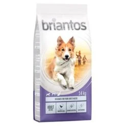 14kg Briantos Dry Dog Food - 13kg + 1kg Free!* -Perfect Care Shop briantos c 14kg adult active 2022 1000x1000 9