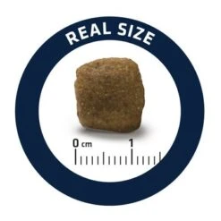 Advance Veterinary Diets Articular Care -Perfect Care Shop c 4 0