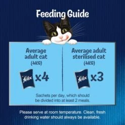 Felix As Good As It Looks Pouches In Jelly 88 X 85g -Perfect Care Shop common adult feeding guide 1 1