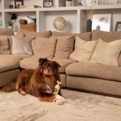 Pet Head Sensitive Soul -Perfect Care Shop companyofanimals pethead sensitivesoul set3teilig hs 08 9