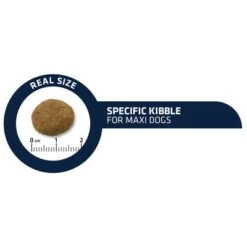 Advance Maxi Junior Chicken -Perfect Care Shop dog advance no sub brand maxi 6