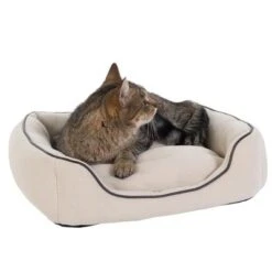Vanilla Cat Bed 10 Vanilla Cat Bed -Perfect Care Shop dsc1253 0