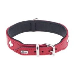 HUNTER Swiss Dog Collar -Perfect Care Shop dsc9097 ret 0