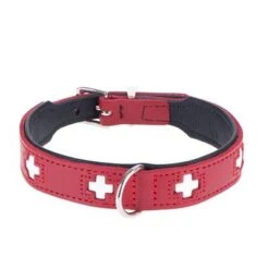 HUNTER Swiss Dog Collar -Perfect Care Shop dsc9098 0