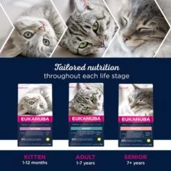 Eukanuba Healthy Start Kitten 9 Eukanuba Healthy Start Kitten -Perfect Care Shop eukanuba dcf life phases 8