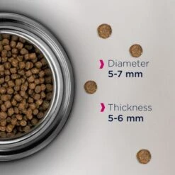 Eukanuba Healthy Start Kitten 7 Eukanuba Healthy Start Kitten -Perfect Care Shop eukanuba healthy start kitten dcf foodshot 8